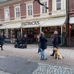Photo 7 - Environmental Accessibility in Urban and Natural Spaces – Kristiansand, Norway