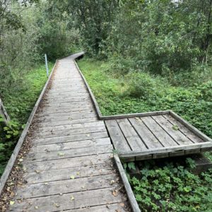 Photo 5 - Emajõje izglītojošā taka
