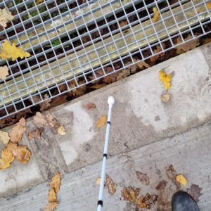 Photo 11 - Ööbikuorg ja Ööbikuoru matkarada