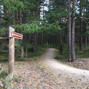 Photo 10 - Interesting Routes in Kurzeme and Vidzeme
