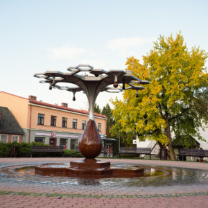 Photo 2 - Kaķa kontūras maršruts Saldus ielās