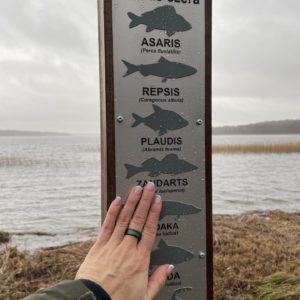 Photo 6 - New Tactile Solutions in Kurzeme Nature Trails