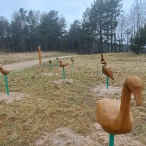 Photo 2 - New Tactile Solutions in Kurzeme Nature Trails