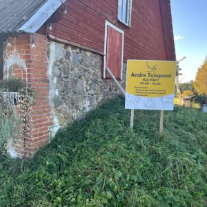 Photo 2 - André Juustufarm