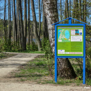 Photo 13 - Būšnieki järve loodusrada