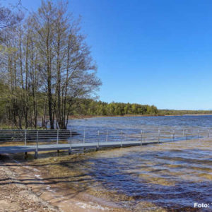 Photo 14 - Būšnieki järve loodusrada