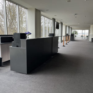 Photo 9 - Theatre and concert hall “Vanemuine”