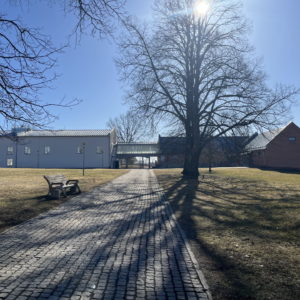 Photo 3 - Eesti Rahva Muuseum ja park