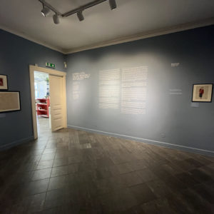 Photo 8 - Tartu Kunstimuuseum