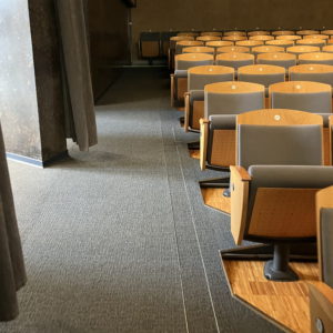 Photo 6 - Theatre and concert hall “Vanemuine”