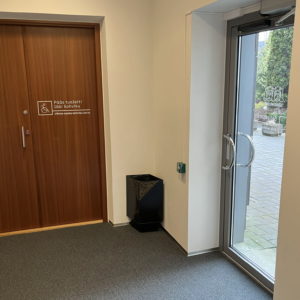 Photo 4 - Theatre and concert hall “Vanemuine”