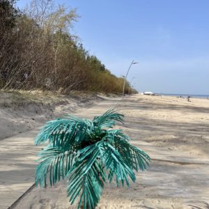 Photo 1 - Dzintari Beach