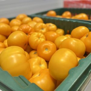 Photo 8 - Getliņu poligons