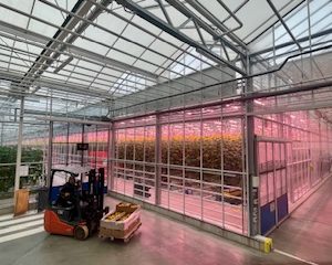 Photo 5 - Getliņu poligons