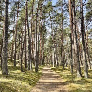 Photo 16 - Jaunķemeru pludmales laipas