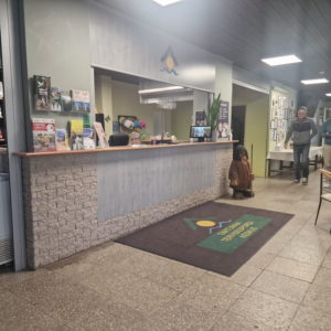 Photo 4 - Tartumaa Sports Centre