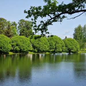 Photo 5 - Kambja church