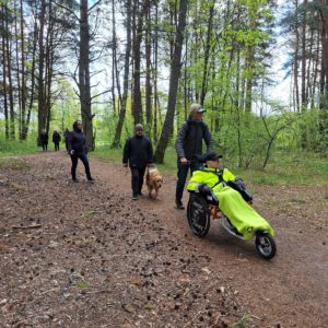 Photo 11 - Carnikava promenaad