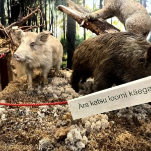 Photo 7 - Valga Museum