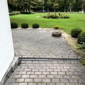 Photo 5 - “Metsis” restoran