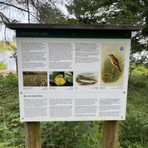 Photo 7 - Erastvere Trail