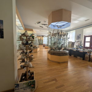 Photo 4 - Matsalu rahvuspargi külastuskeskus ja Suitsu matkarada