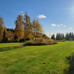 Photo 3 - Palusalu garden