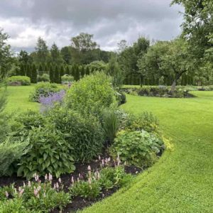 Photo 1 - Palusalu garden