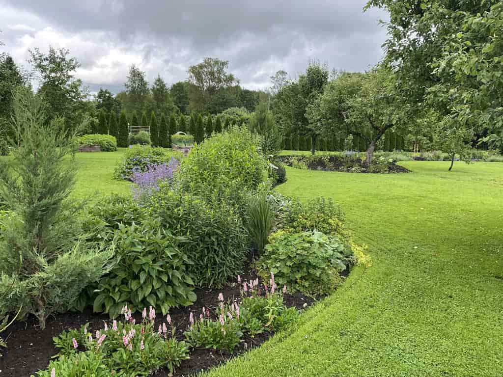 Palusalu garden view on plants