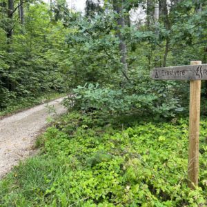 Photo 4 - Erastvere Trail