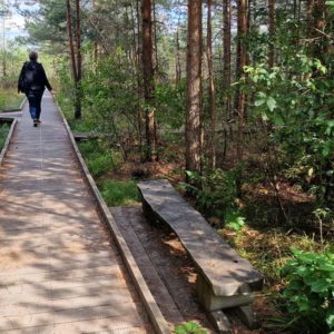 Photo 10 - Riisa study trail