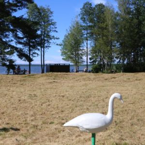 Photo 13 - Būšnieku ezera pieejamā peldvieta