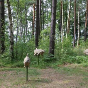 Photo 4 - Būšnieku ezera pieejamā peldvieta