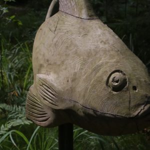 Photo 5 - Būšnieku ezera pieejamā peldvieta