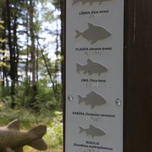 Photo 4 - Pieejami ezeri atpūtai visiem arī rudenī