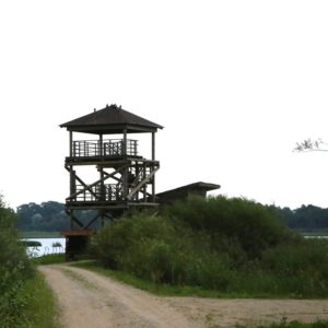 Photo 10 - Pieejami ezeri atpūtai visiem arī rudenī