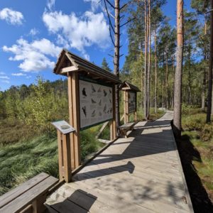 Photo 5 - Rannametsa-Tolkuse Nature Study Trail