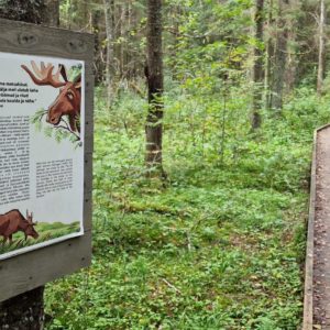 Photo 10 - Koprarada õpperada and Soomaa rahvuspargi külastuskeskus