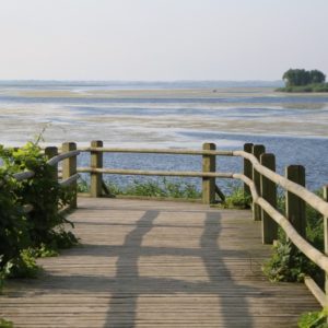 Photo 20 - Pieejami ezeri atpūtai visiem arī rudenī