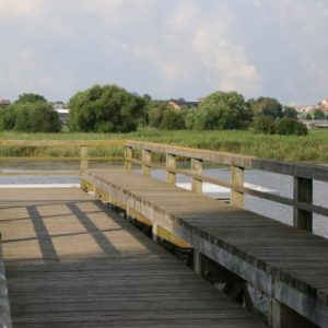 Photo 18 - Pieejami ezeri atpūtai visiem arī rudenī