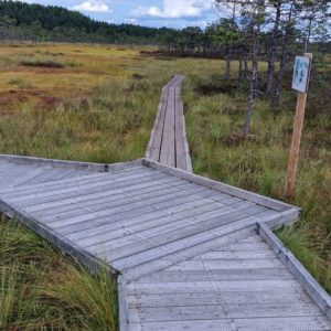 Photo 9 - Riisa study trail