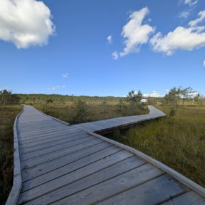 Photo 8 - Rannametsa-Tolkuse looduse õpperada