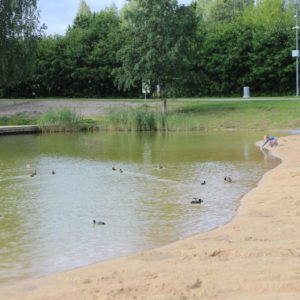 Photo 3 - Ozolnieku ezera peldvieta