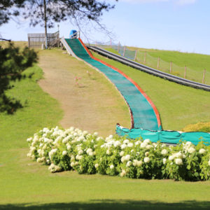 Photo 8 - Radžu ūdenskrātuves Zilā karoga pludmale