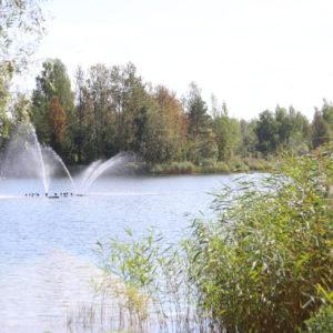 Photo 6 - Radžu ūdenskrātuves Zilā karoga pludmale