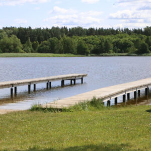 Photo 3 - Sasmakas ezera peldvieta