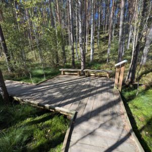 Photo 4 - Rannametsa-Tolkuse Nature Study Trail