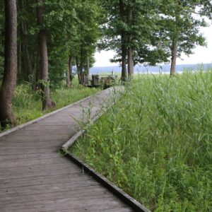 Photo 37 - Pieejami ezeri atpūtai visiem arī rudenī