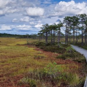 Photo 6 - Riisa matkarada