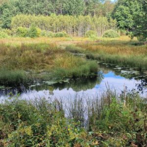 Photo 8 - Koprarada õpperada and Soomaa rahvuspargi külastuskeskus